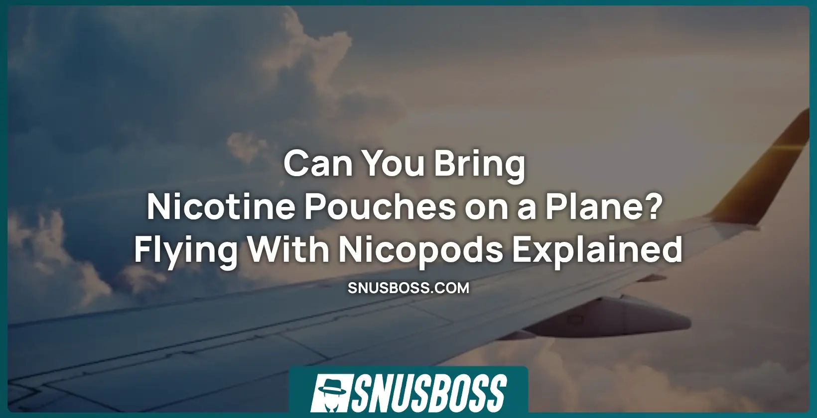 Can You Bring Nicotine Pouches on a Plane? TSA Rules Explained