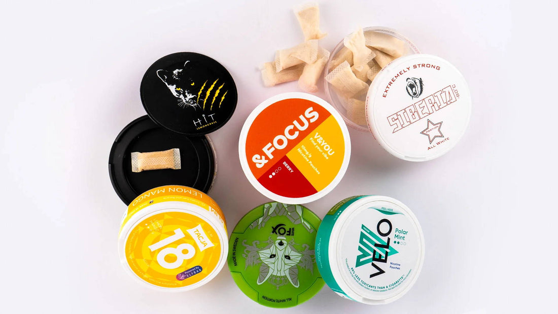 Siberia Nicotine Pouches vs Other Brands: Which Is Right for You?
