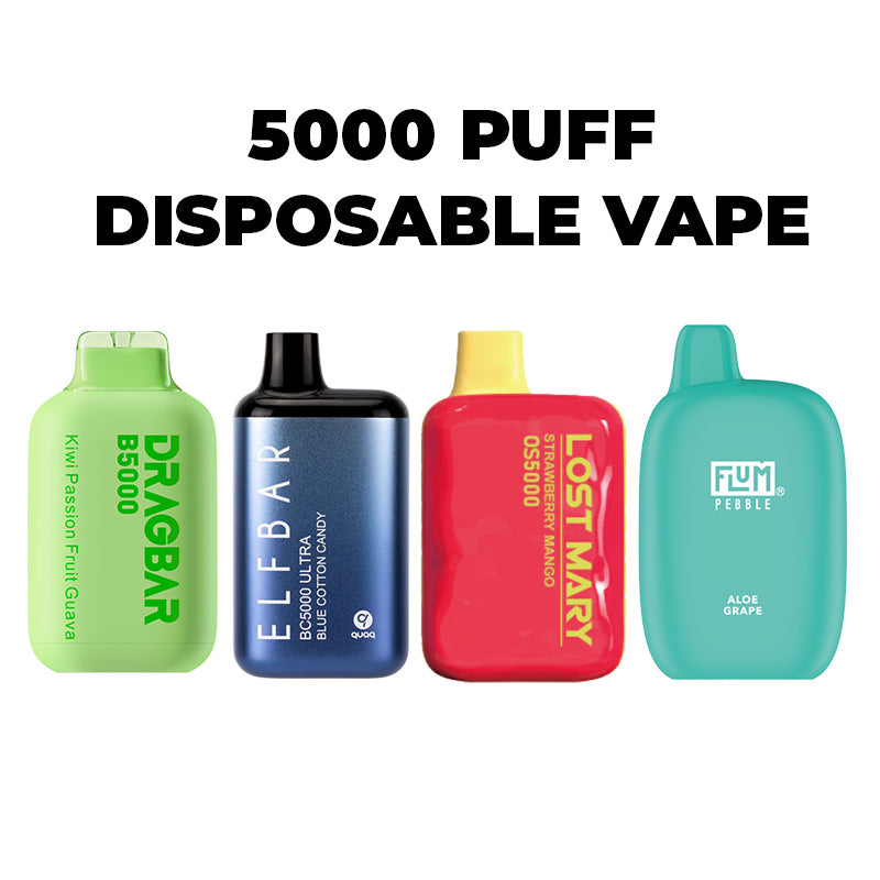 5000 Puff Disposable: Where Can You Find These Vapes Online?