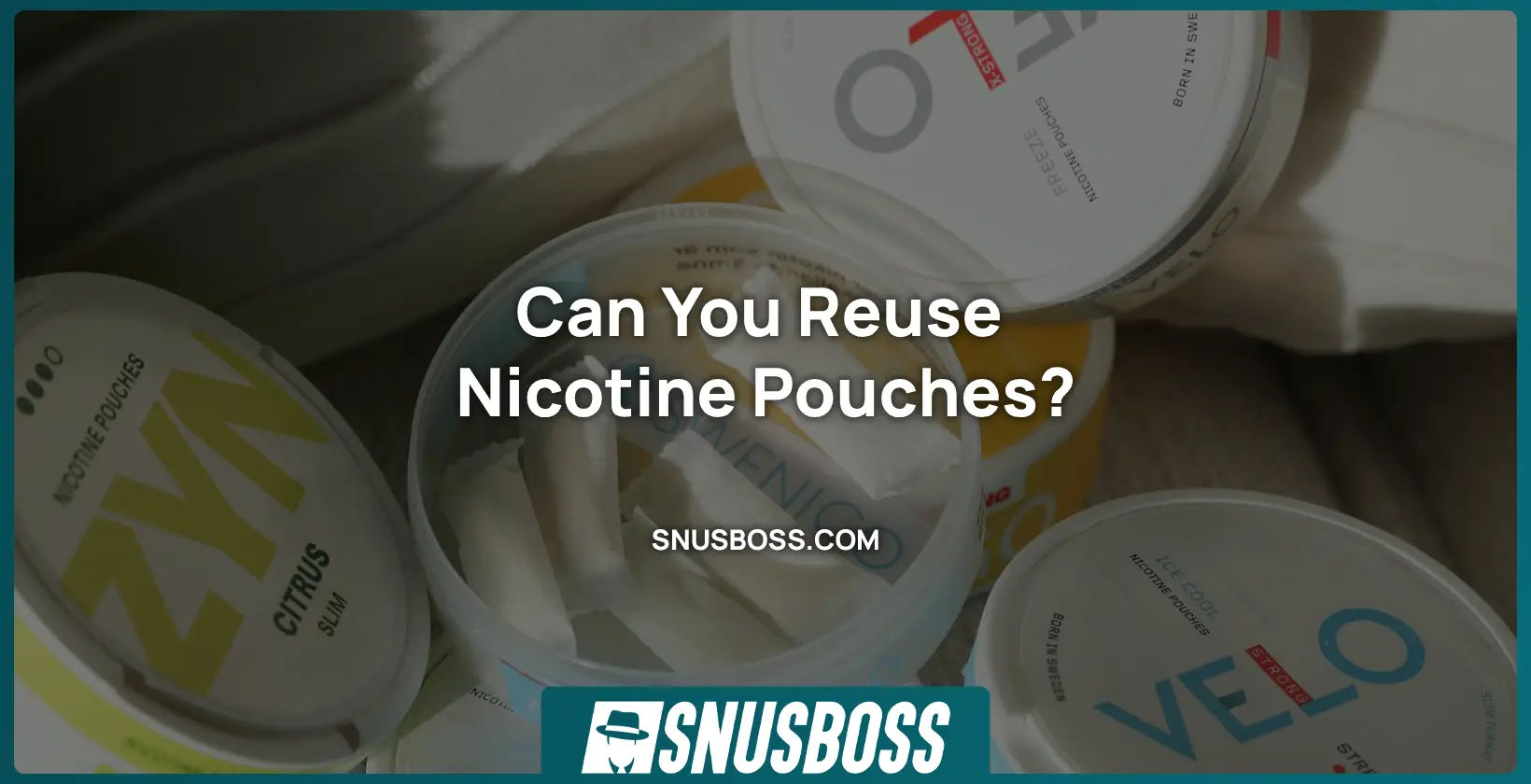 Can You Reuse ZYN Pouches? Simple answer for your ZYN pouches