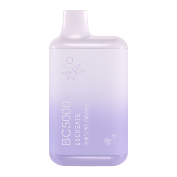 New Snoow Ice Flavor by Elf Bar: BC5000 Frozen Edition Details