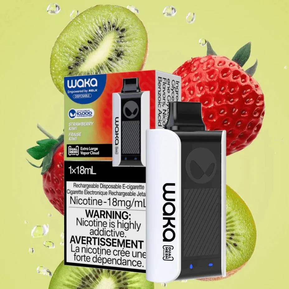 Best 10000 Puff Disposable Vape This Year: Dont Miss These!