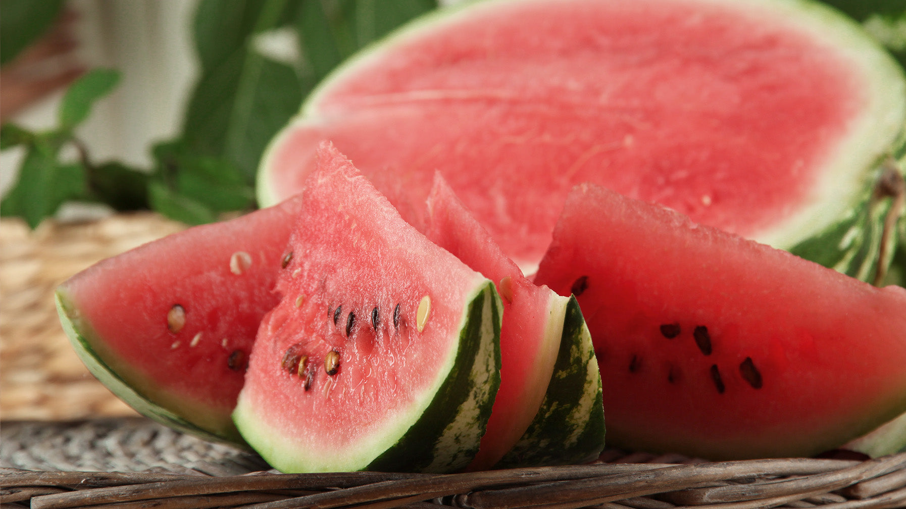 How to choose the best watermelon candy vape? Check these tips before you buy any brands.